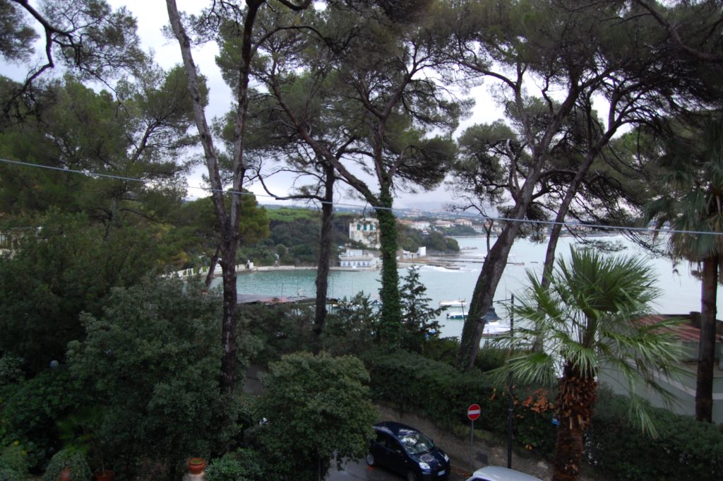 Villa Violetta