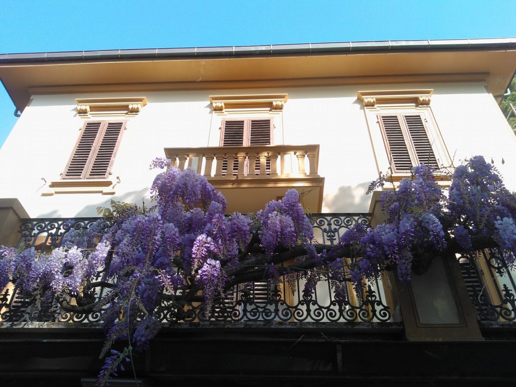 Villa Violetta